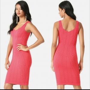 NEW Bebe bodycon textured seamless dress